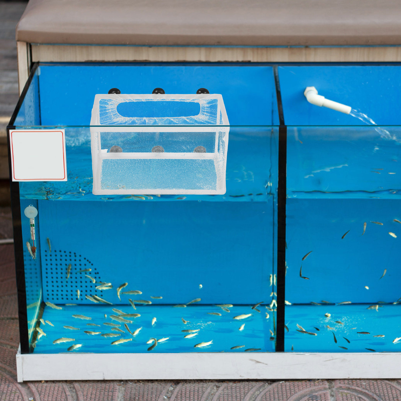 Aquarium Fish Big Size - Aquarium Fish Net Hatchery Box Big