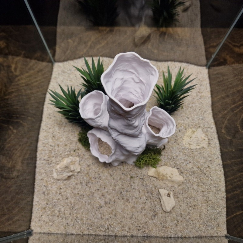 Aquarium Fish For Sale - Hot Sale 3D Printed Coral Tunnel