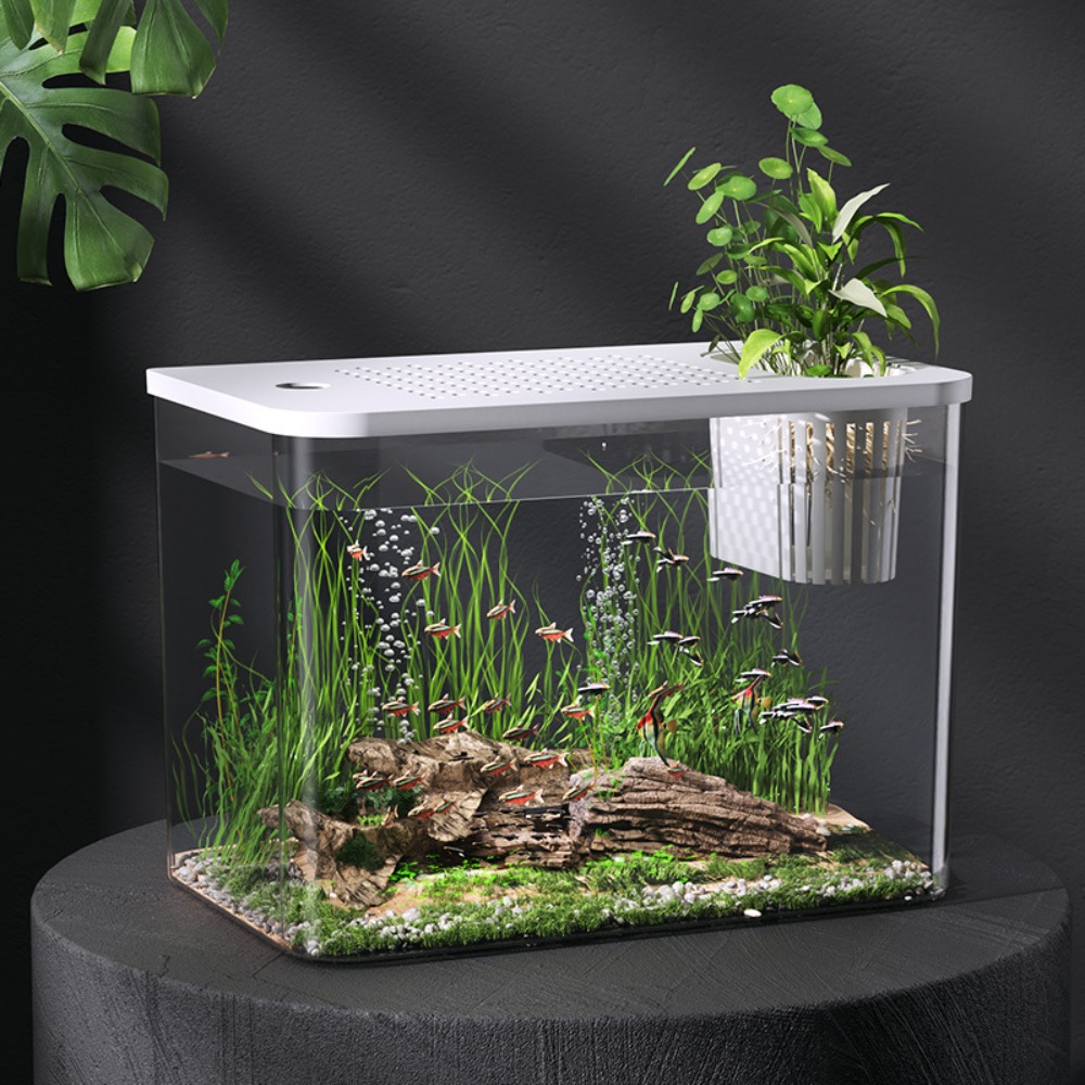 Aquarium Fish For Sale - PET+ABS Fish Tank Transparent Ecological Water