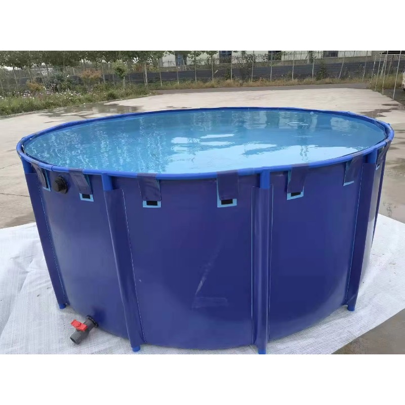 Aquarium Fish Big Size - Wholesale Custom Outdoor Large Most Popular