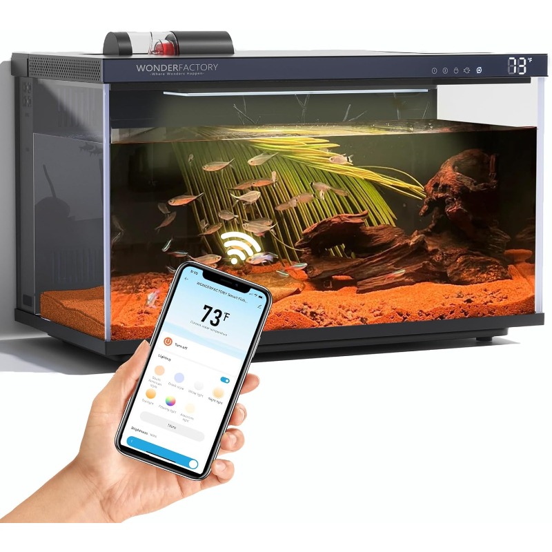 Aquarium Fish Feeder Automatic - Smart Aquarium, Glass Fish Tank, Self-Cleaning