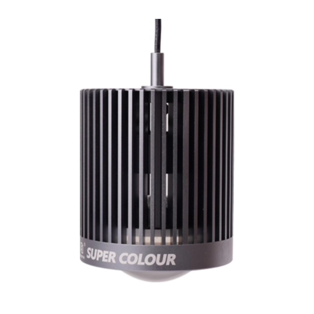 Mayin Super Colour Aquarium 10 - Aquarium Fish Colour review and price