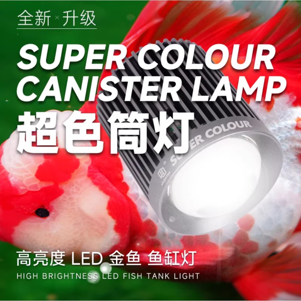 Mayin Super Colour Aquarium 10 - Aquarium Fish Colour review and price