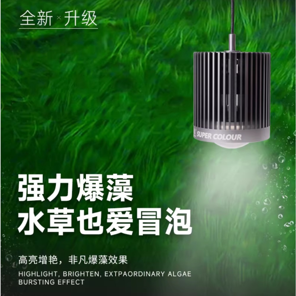 Mayin Super Colour Aquarium 10 - Aquarium Fish Colour review and price