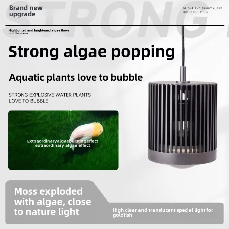 skynuo Super Colour 100W Fresh - Aquarium Fish Colour review and price