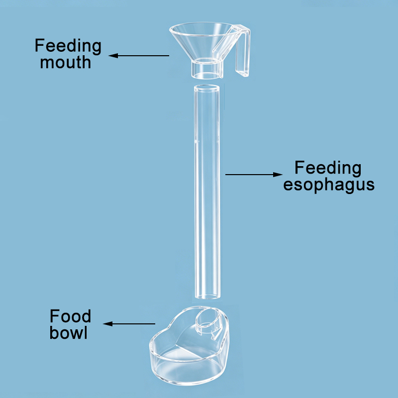 Acrylic Aquarium Fish Feeder T - Aquarium Fish Big review and price
