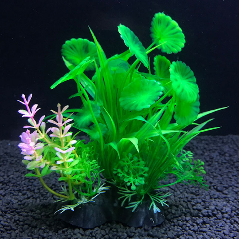 Aquarium decoration a variety  - Aquarium Fish Variety review and price
