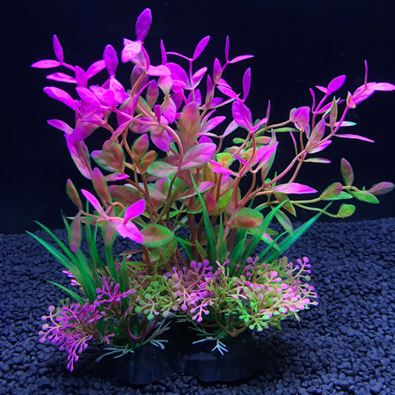 Aquarium decoration a variety  - Aquarium Fish Variety review and price