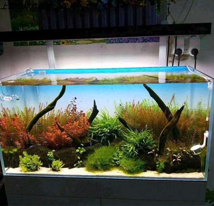 RGB Acrylic Fish Tank Backdrop - Aquarium Fish Colour review and price