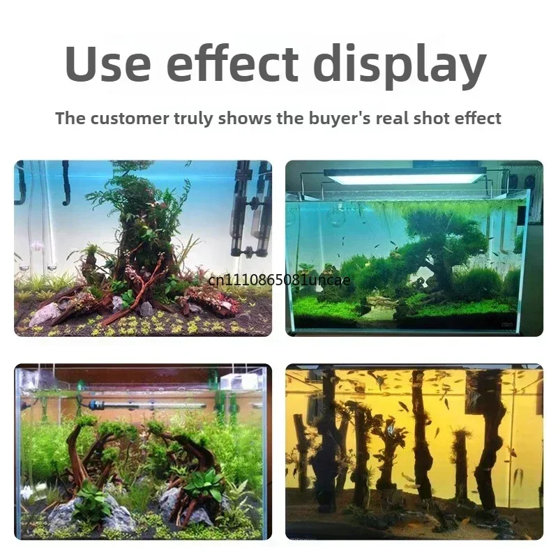 RGB Acrylic Fish Tank Backdrop - Aquarium Fish Colour review and price