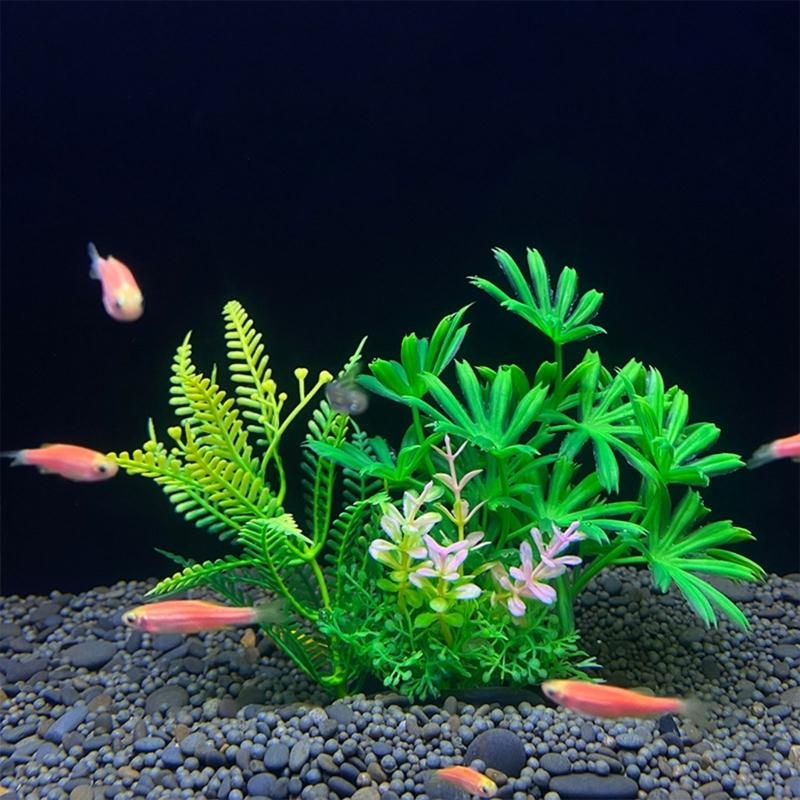 Artificial Aquarium Decoration - Aquarium Fish For Sale review and price