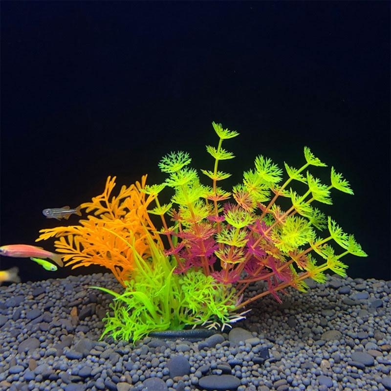 Artificial Aquarium Decoration - Aquarium Fish For Sale review and price