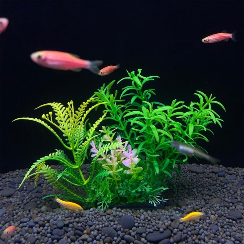 Artificial Aquarium Decoration - Aquarium Fish For Sale review and price