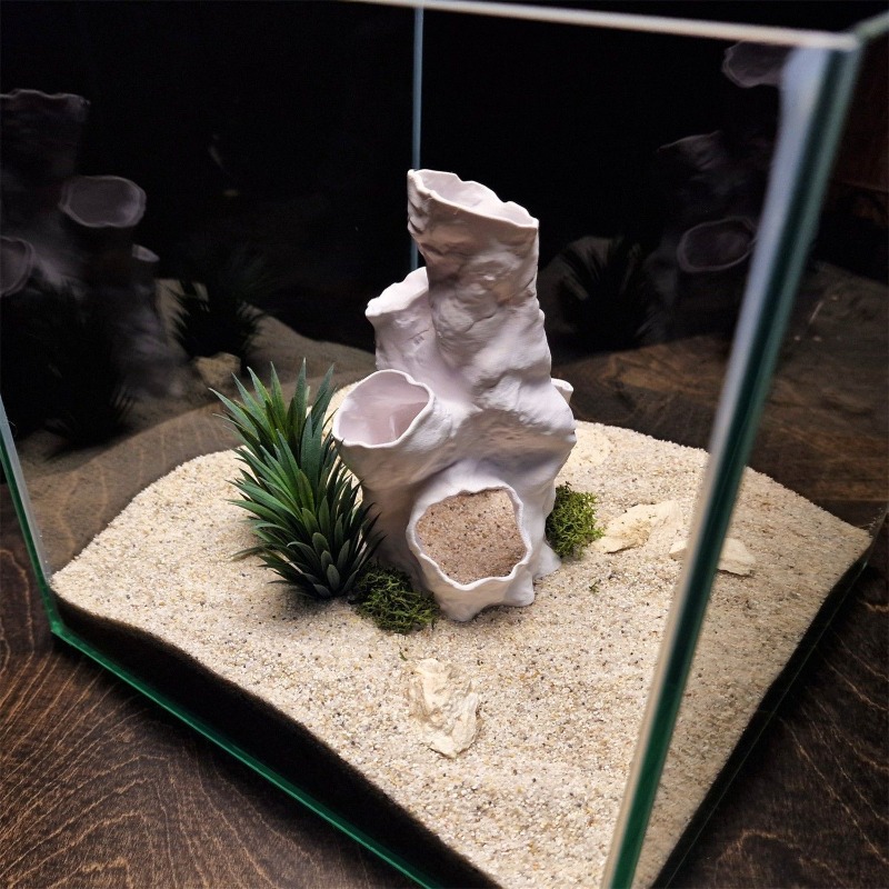 Hot Sale 3D Printed Coral Tunn - Aquarium Fish For Sale review and price