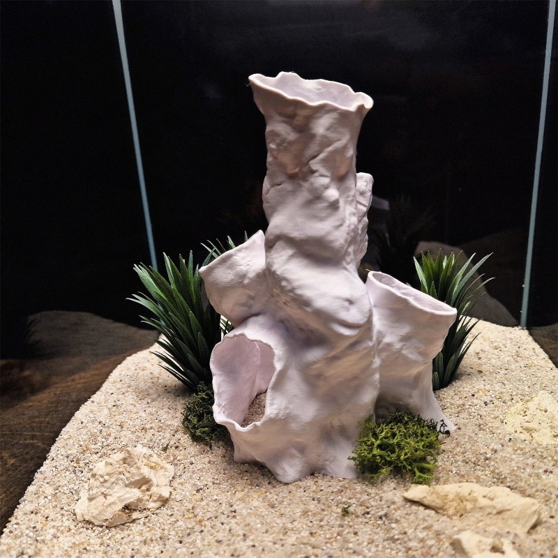 Hot Sale 3D Printed Coral Tunn - Aquarium Fish For Sale review and price