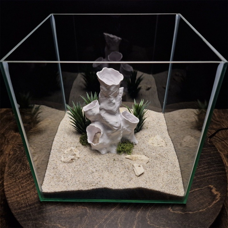 Hot Sale 3D Printed Coral Tunn - Aquarium Fish For Sale review and price