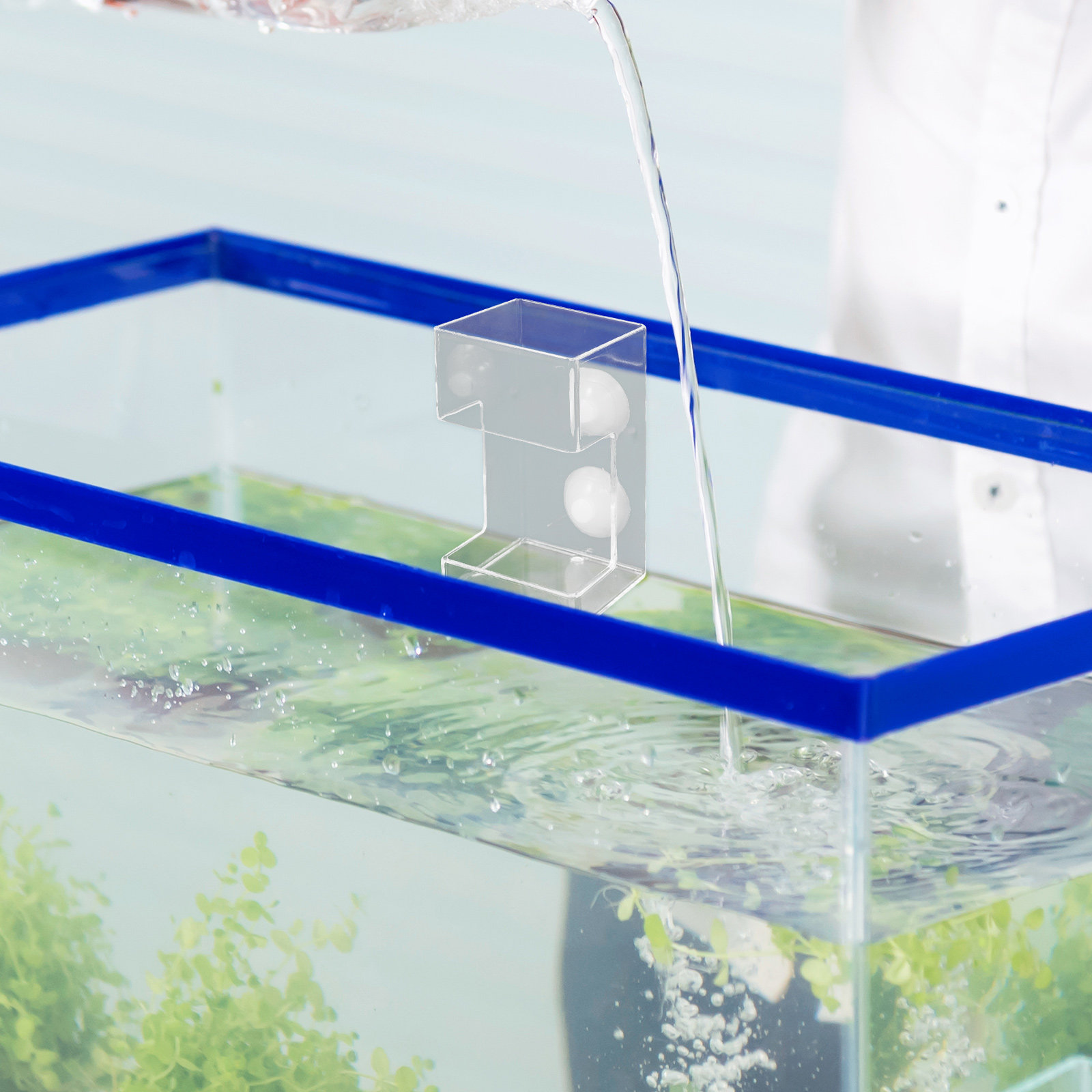 Aquarium Acrylic Fish Feeder F - Aquarium Fish Feeder Automatic review and price