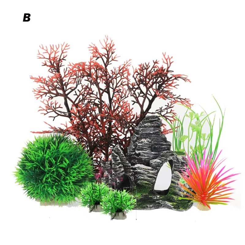 10pcs Hot Selling New Arrival  - Aquarium Fish For Sale review and price