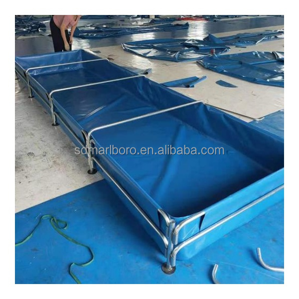 AIROW Custom Commercial High Q - Aquarium Fish For Sale review and price