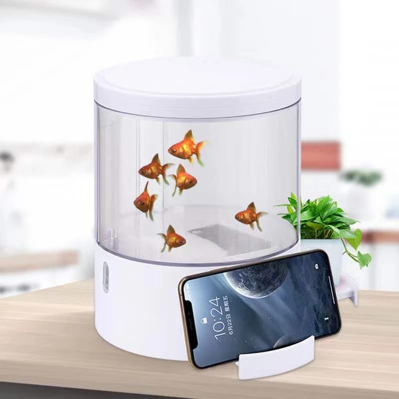 Round colorful lights desktop  - Aquarium Fish For Sale review and price