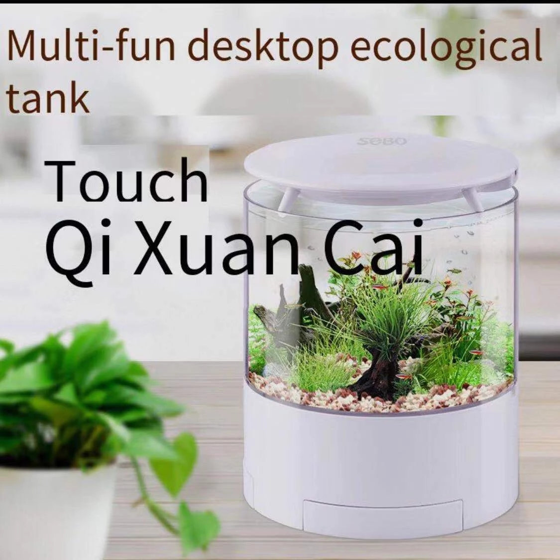Round colorful lights desktop  - Aquarium Fish For Sale review and price