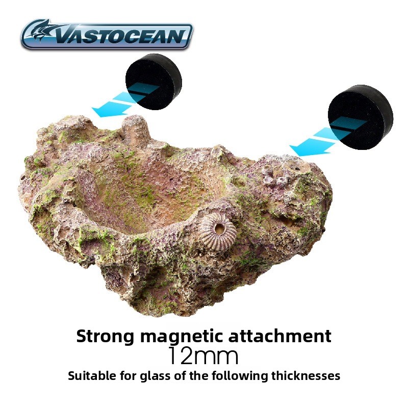 VASTOCEAN Magnetic Anemone Hol - Aquarium Fish Cave review and price
