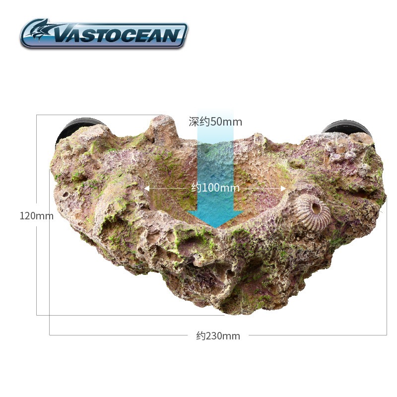 VASTOCEAN Magnetic Anemone Hol - Aquarium Fish Cave review and price