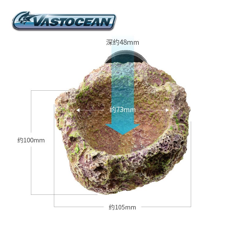 VASTOCEAN Magnetic Anemone Hol - Aquarium Fish Cave review and price