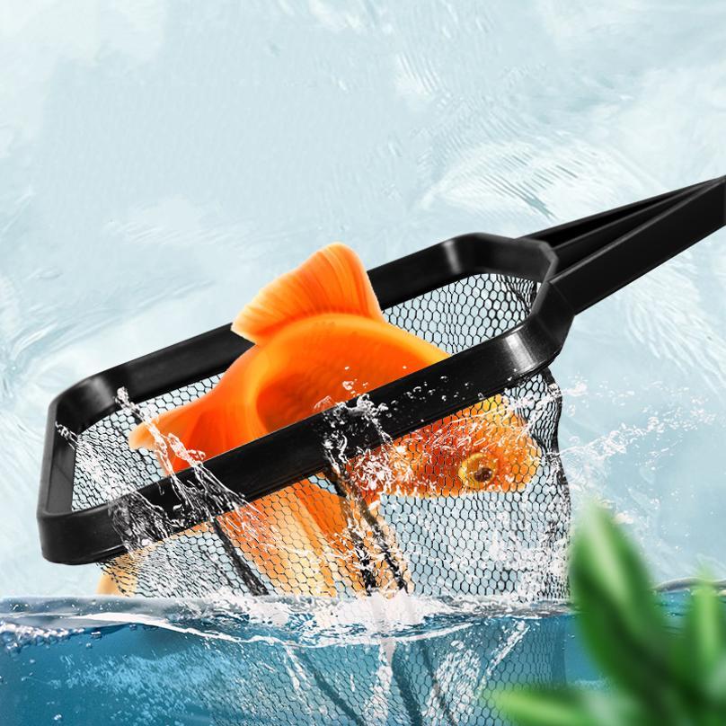 Fish Fishing Plastic Telescopi - Aquarium Fish Big review and price