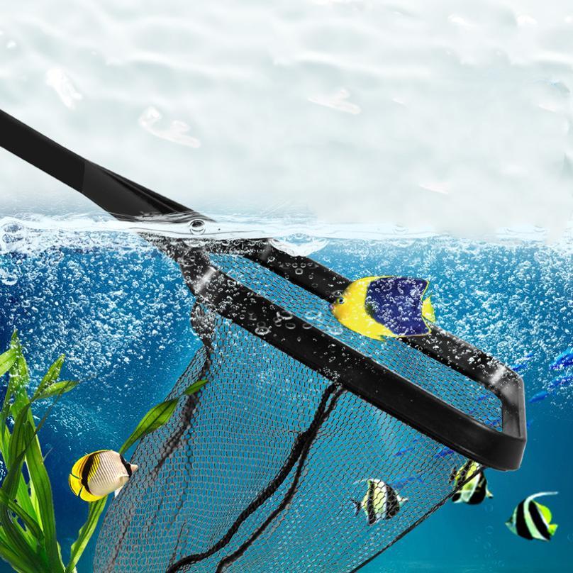 Fish Fishing Plastic Telescopi - Aquarium Fish Big review and price