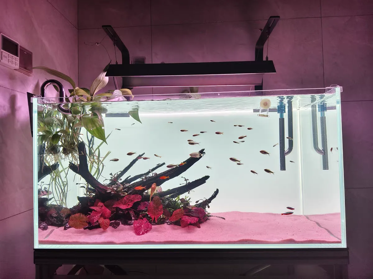 RGB Acrylic Fish Tank Backdrop - Aquarium Fish Colour review and price