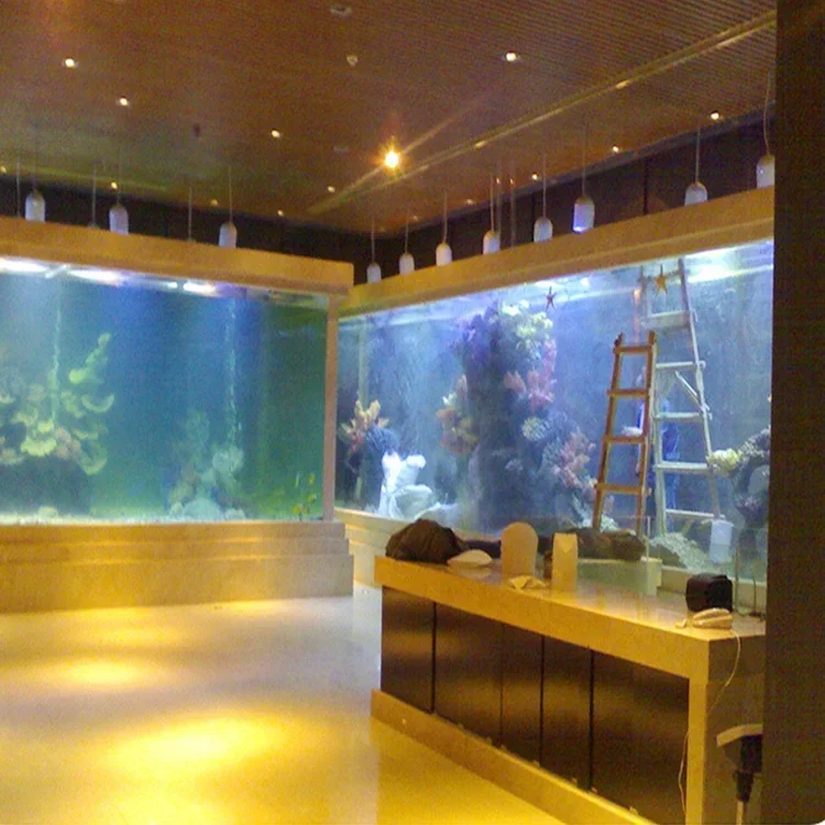 l Acrylic Big Fish Tank Rectan - Aquarium Fish Big Size review and price