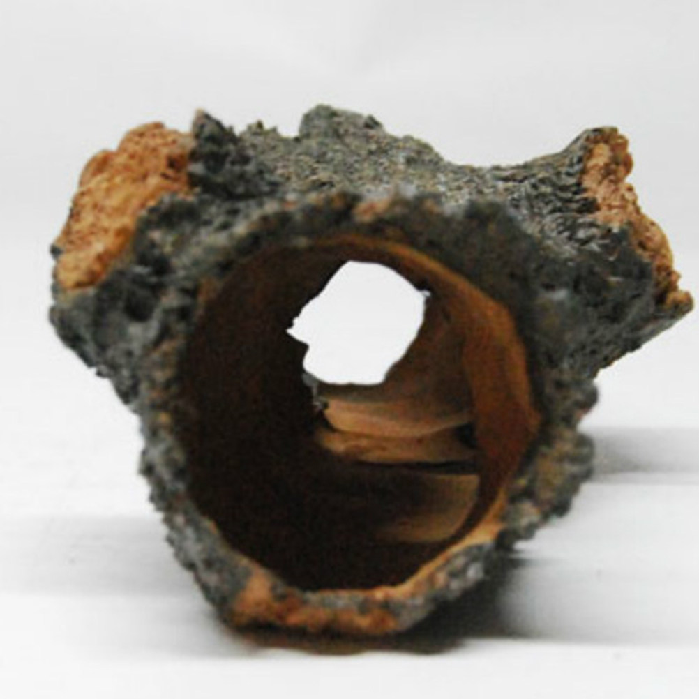 Aquarium Tree Trunk Resin Orna - Aquarium Fish Molly review and price