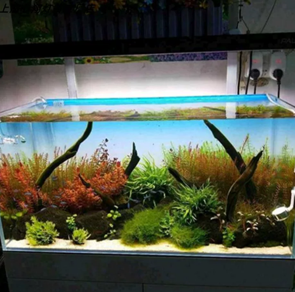 RGB Acrylic Fish Tank Backdrop - Aquarium Fish Colour review and price