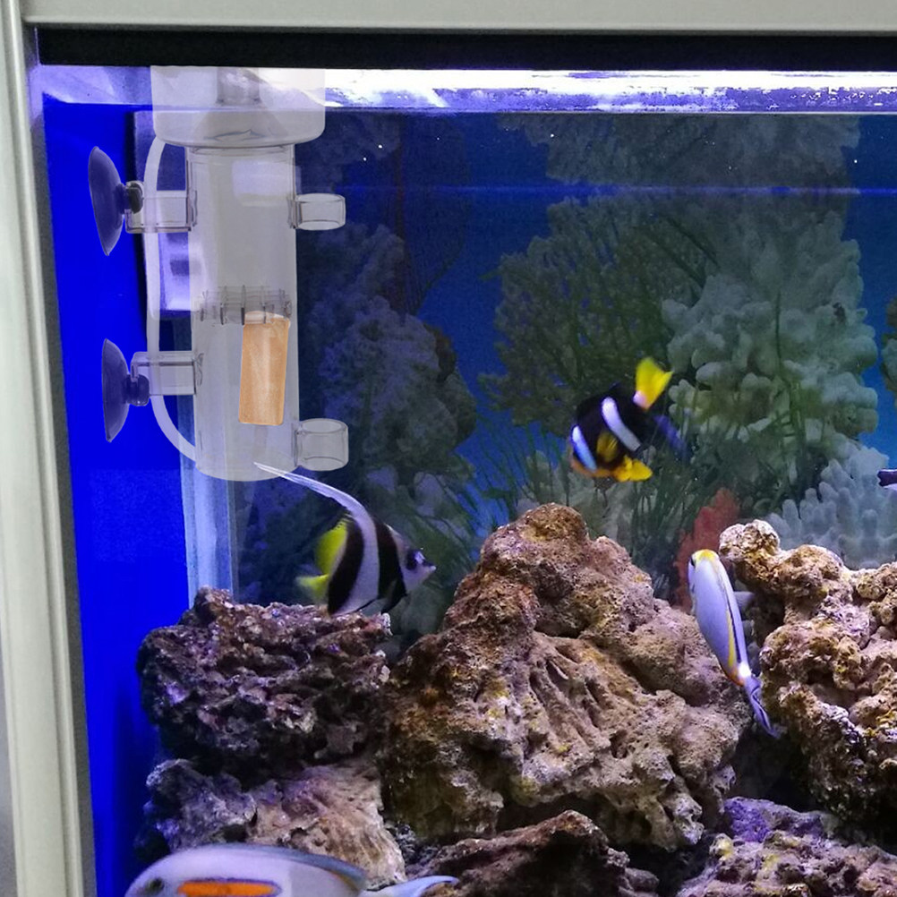 Protein Skimmer Internal Mini  - Aquarium Fish Marine review and price