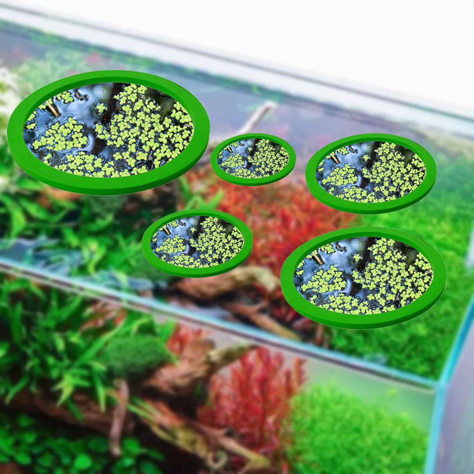 5Pcs EVA Fish Feeding Ring Aqu - Aquarium Fish Marine review and price