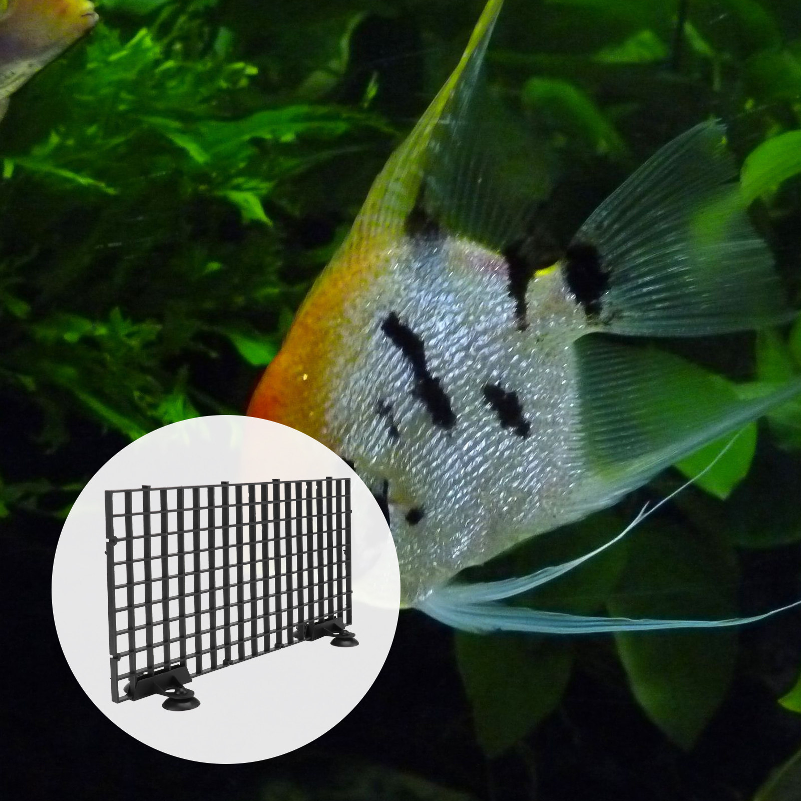 Big Size Fish Breeder Net Hatc - Aquarium Fish Big Size review and price