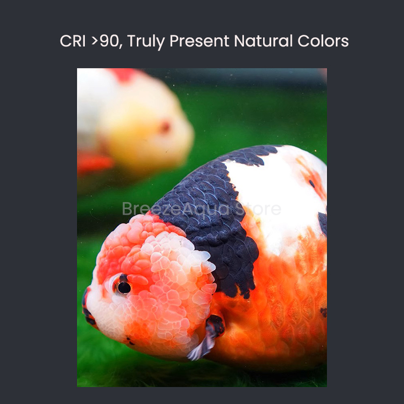 MAYIN Super Colour 100W Freshw - Aquarium Fish Colour review and price