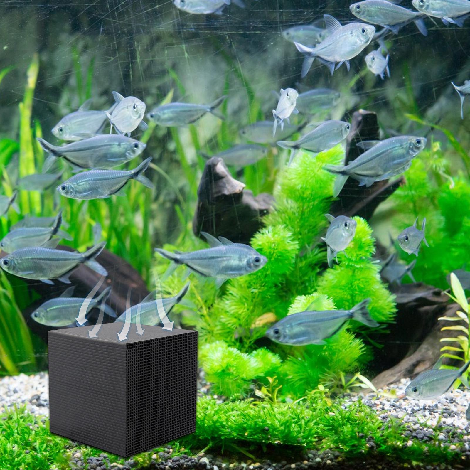 Aquarium Water Purifier Cube W - Aquarium Fish Cave review and price