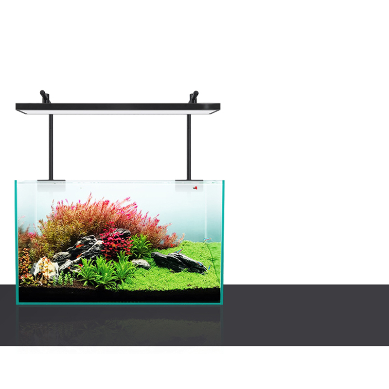 Led Lighting 60cm 80cm 90cm RG - Aquarium Fish For Sale review and price