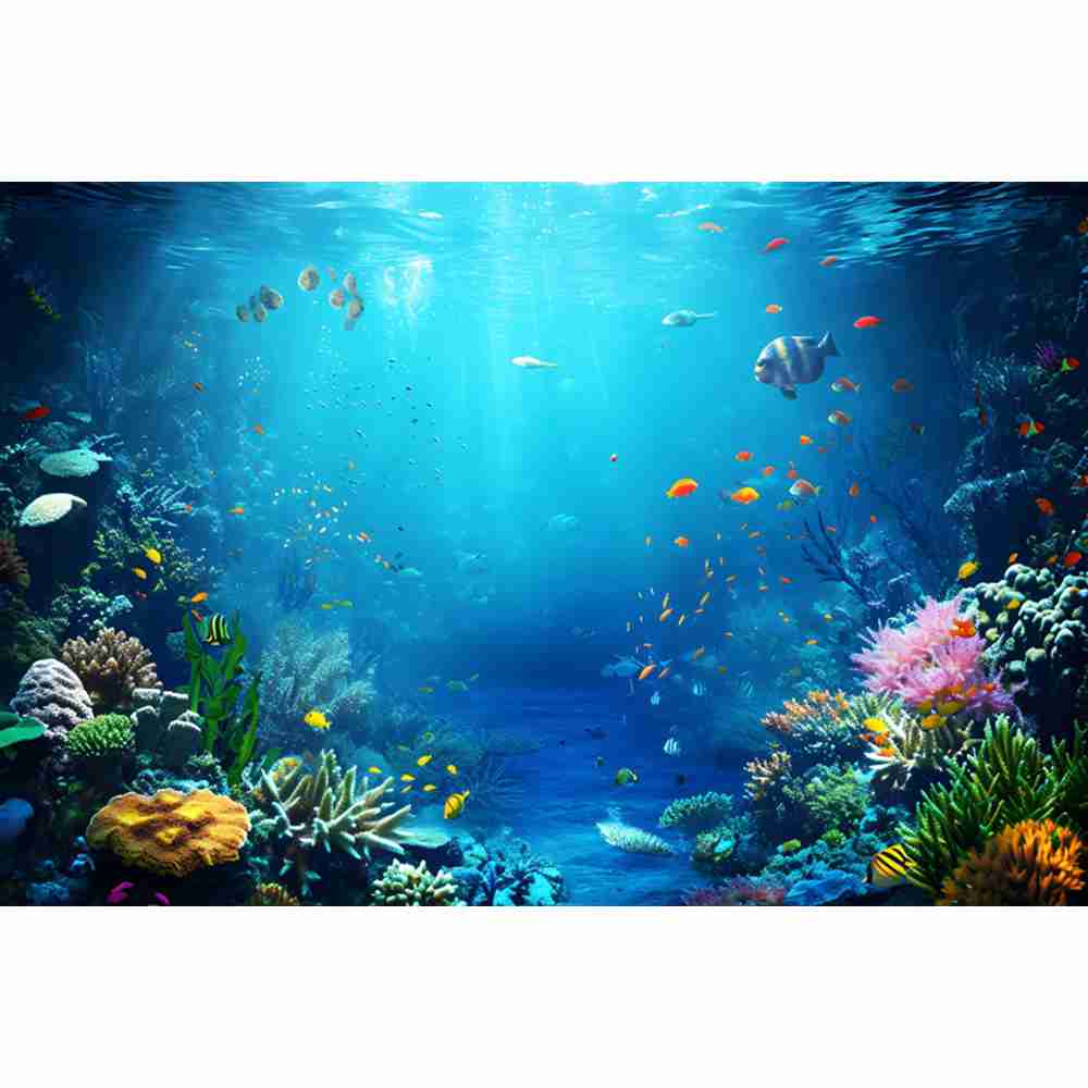 Underwater Ocean World Photogr - Aquarium Fish Dolphin review and price