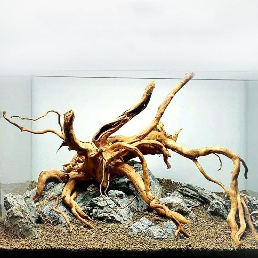 20-25CM Large Aquarium Driftwo - Aquarium Fish Big review and price
