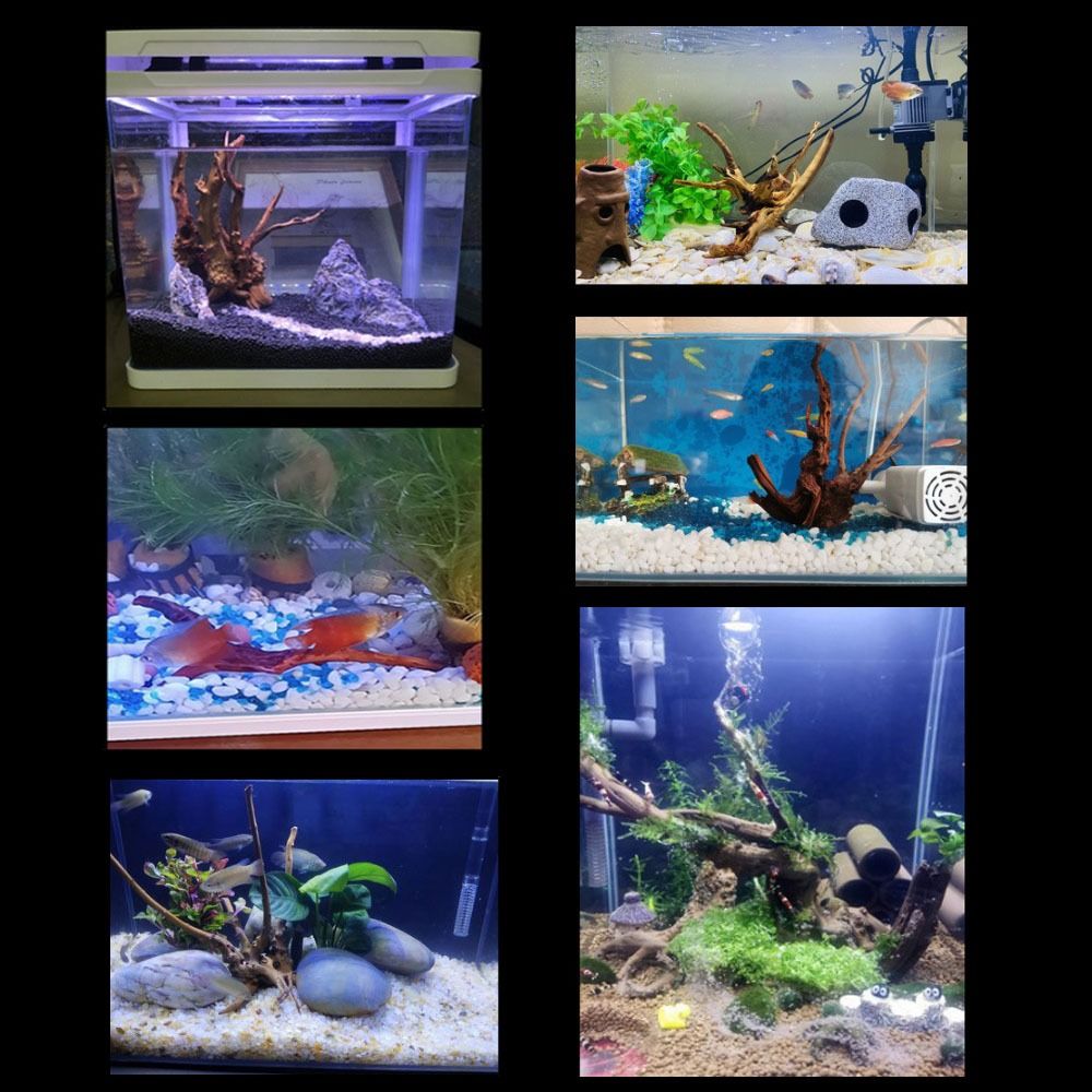 20-25CM Large Aquarium Driftwo - Aquarium Fish Big review and price