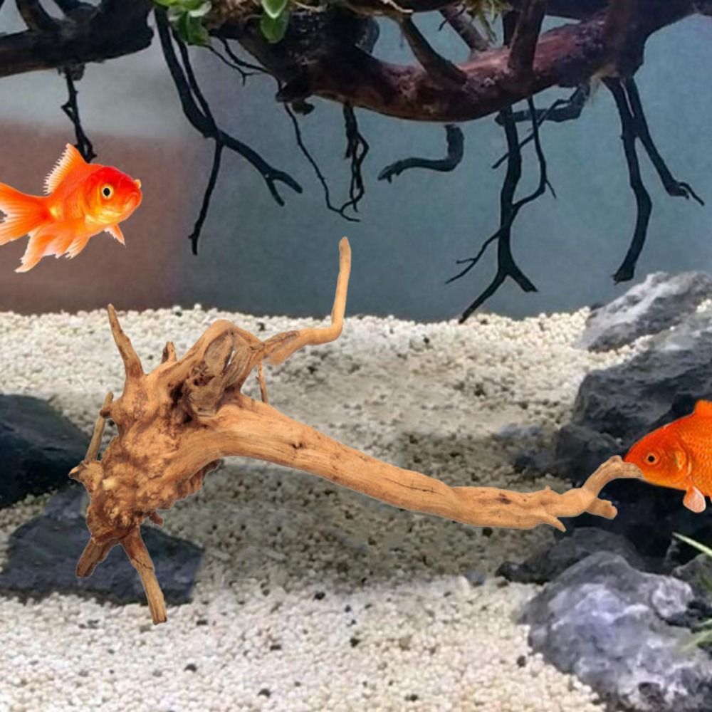 20-25CM Large Aquarium Driftwo - Aquarium Fish Big review and price