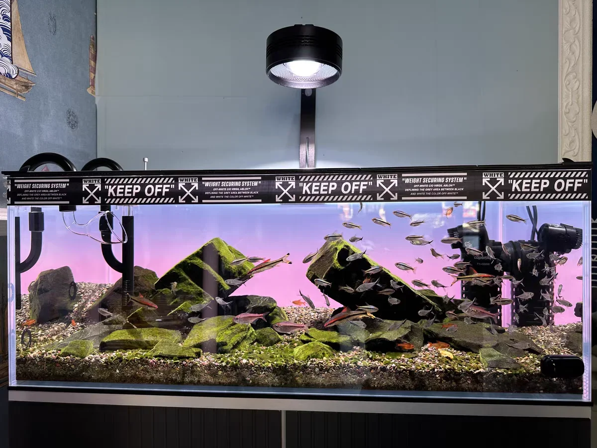 RGB Acrylic Fish Tank Backdrop - Aquarium Fish Colour review and price