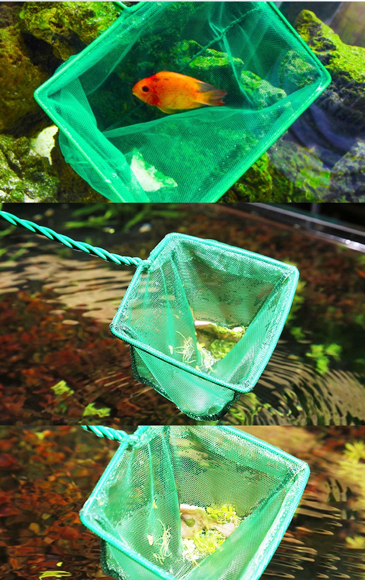 Portable Big Size Fishing Net  - Aquarium Fish Big Size review and price