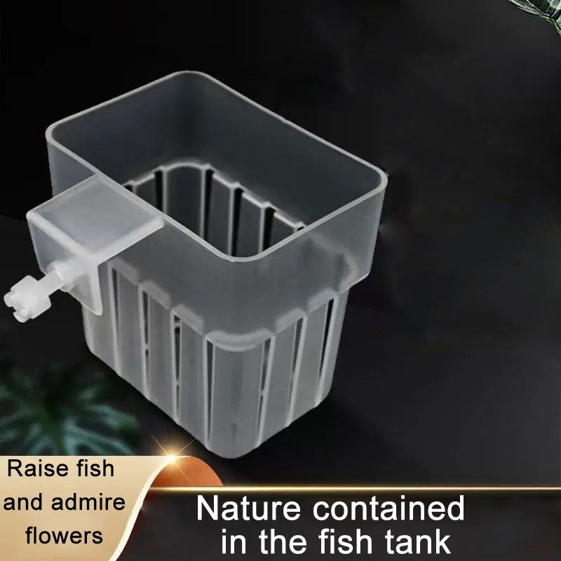 Aquarium Transparent Hydroponi - Aquarium Fish Big review and price