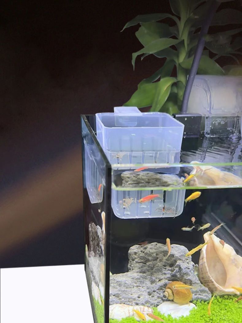 Aquarium Transparent Hydroponi - Aquarium Fish Big review and price