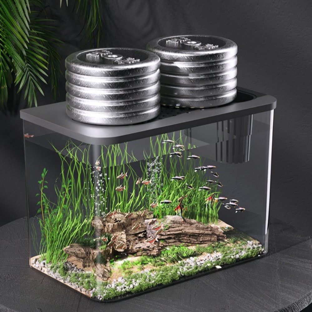PET+ABS Fish Tank Transparent  - Aquarium Fish For Sale review and price