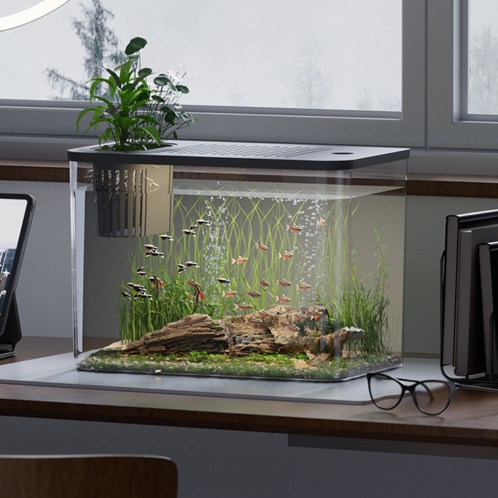 PET+ABS Fish Tank Transparent  - Aquarium Fish For Sale review and price